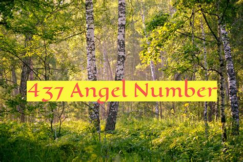 437 meaning love|Angel Number 437 Meaning: Love, Twin Flame。